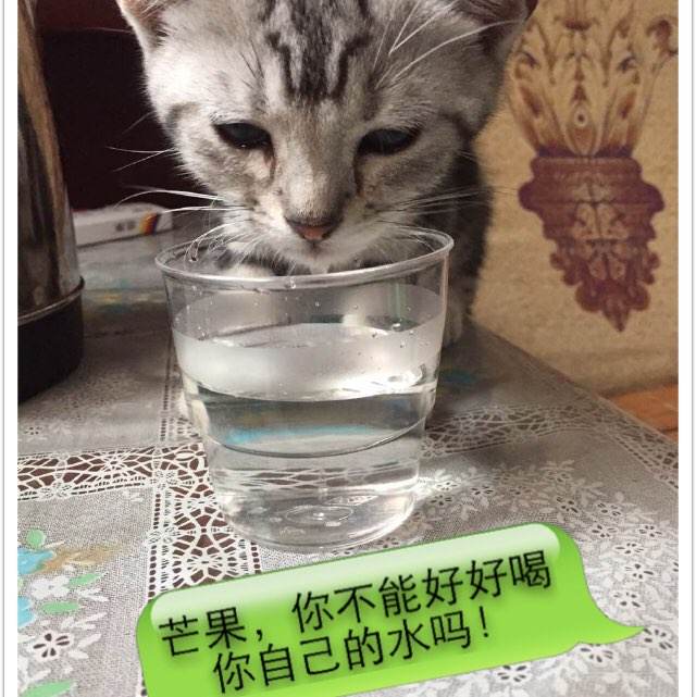不动产证产权人为什么是开发商